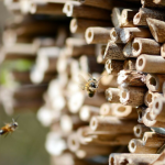 Február végéig érdemes elkészíteni és kihelyezni a méhecskehoteleket