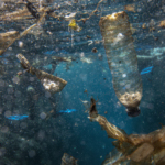 Alig húsz év alatt megháromszorozódhat az óceánokba kerülő műanyag mennyisége